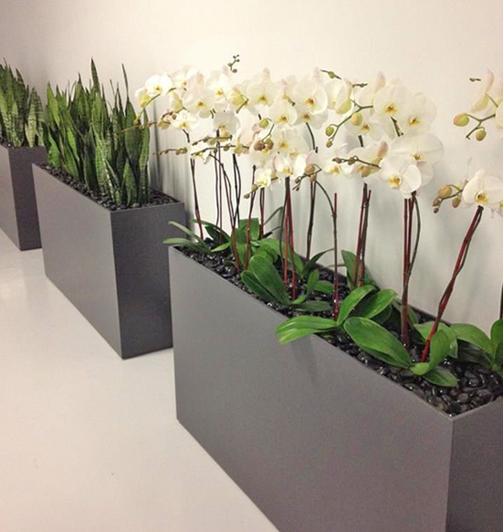 MotherIn Law and Orchids Custom Planter Display.