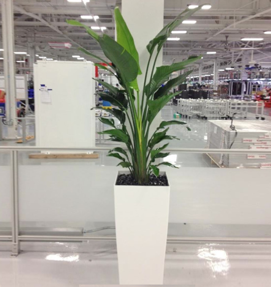 Phoenix Tall Planter with Bird of Paradise using Black River Rock Display.